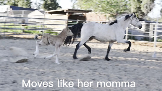 Penelope and Talia